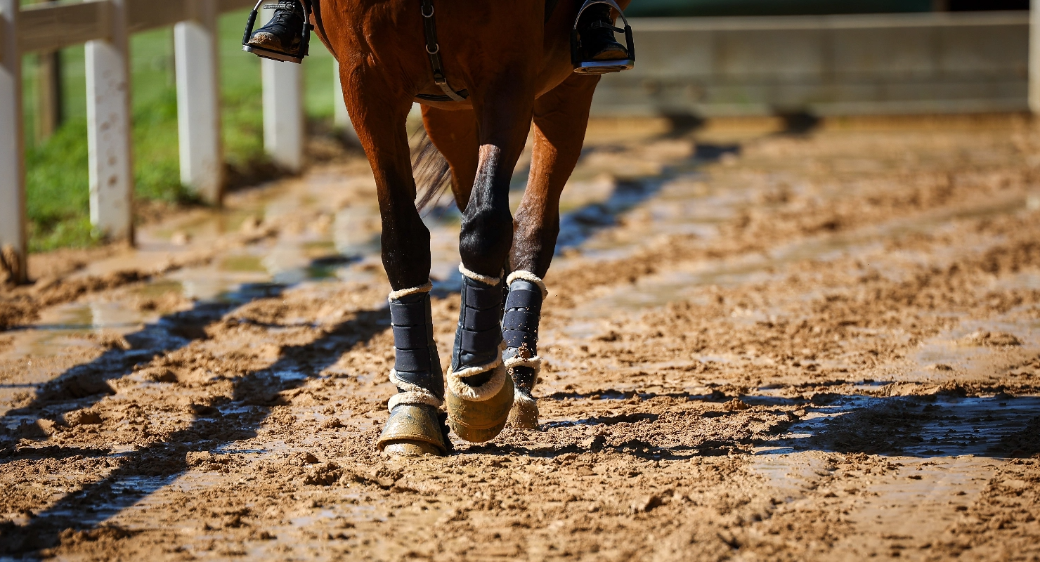 Subirrigation de carrière équestre dans l'Indre