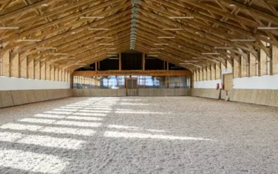 Les étapes incontournables pour une création de sol équestre dans la Vienne durable et performante
