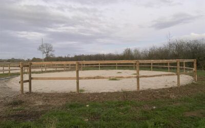 Les solutions sur mesure pour un sol équestre en Gironde : de la conception à la réalisation avec Concept et Terrassement Aquitains